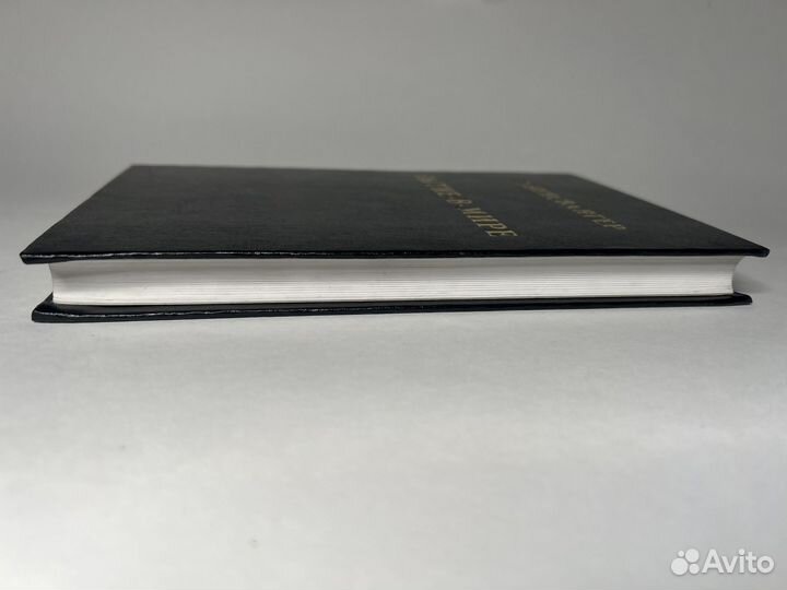 Бытие-в-мире. Л. Бинсвангер