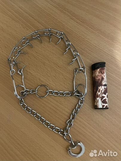 Строгий ошейник для собак