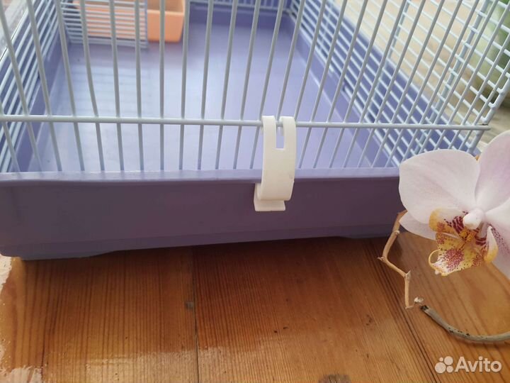 Клетка для мелких грызунов (крыс, мышей, хомяков)