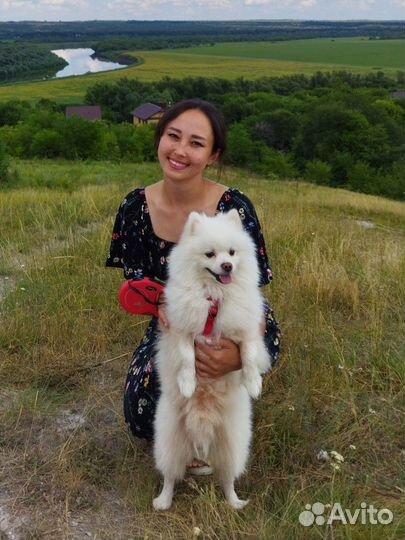 Кинолог(специалист по работе с поведением собак)