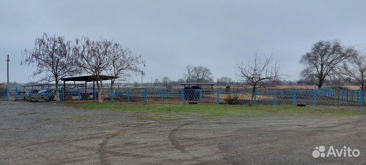 Постой лошадей