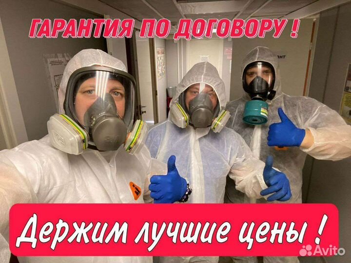 Уничтожение клопов,травля тараканов, клещей,ос