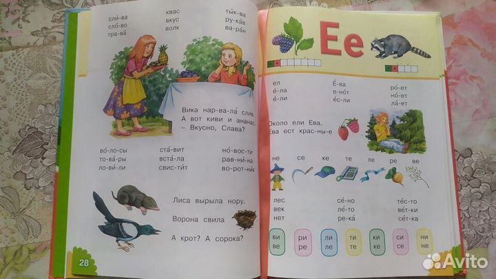 Букварь Н. Павлова