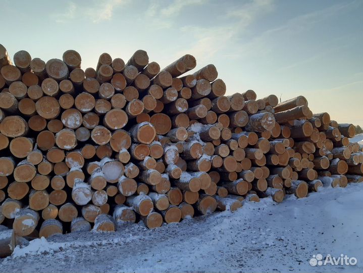 Круглый лес Сосна, Лиственница, Ель, Пихта