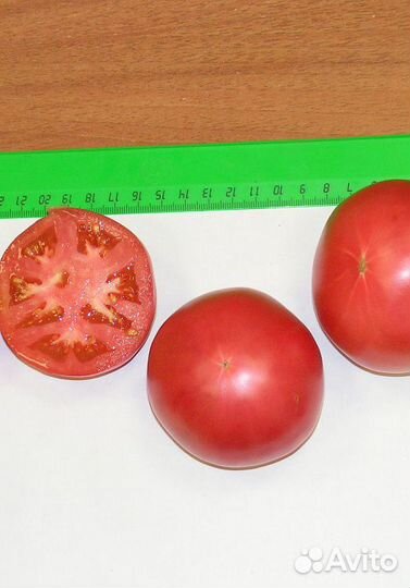 Семена Томата 