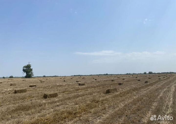 Солома в тюках