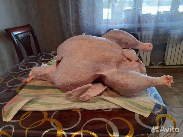 Мясо индейки (домашнее)