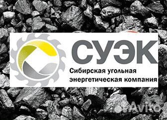 Заместитель директора по перспективному развитию