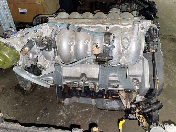 Двигатель VQ35DE 3.5 V6 Nissan Fuga