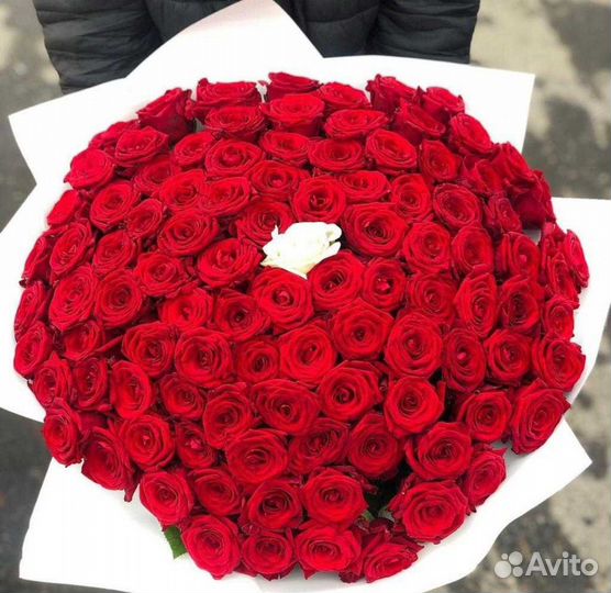 Красные розы 101 роза Доставка