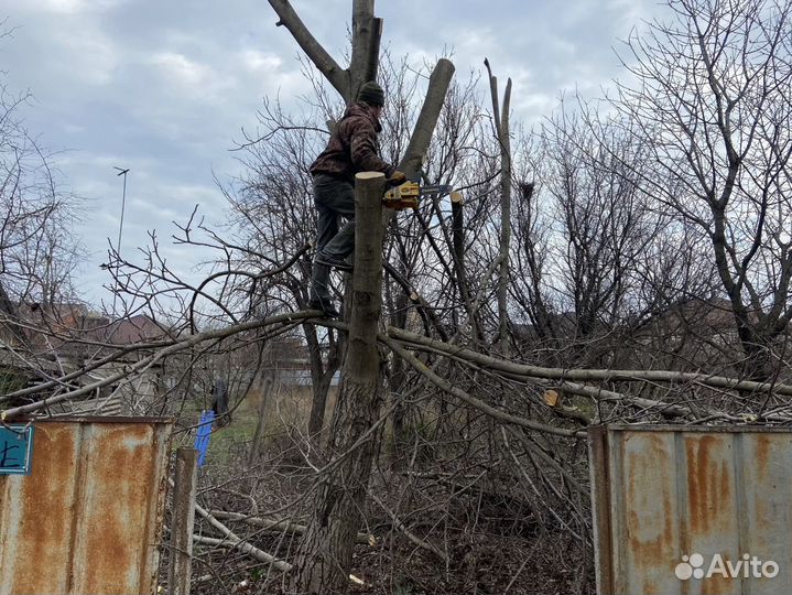 Очистка участка, спил деревьев, благоустройство