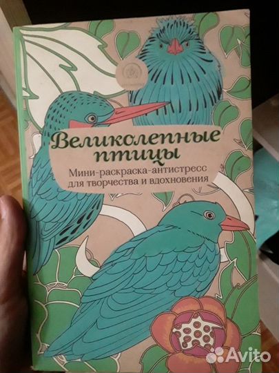 Раскраски-антистресс