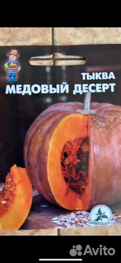 Рассада огурцов, арбузов, тыквы