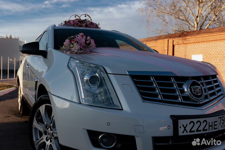 Аренда автомобиля