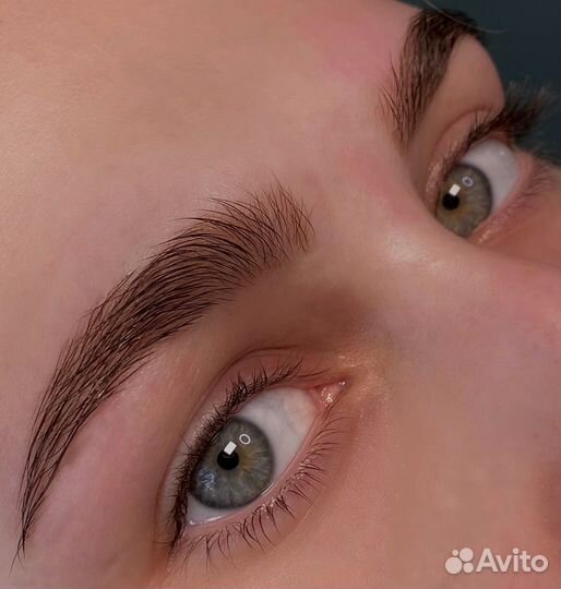 Брови