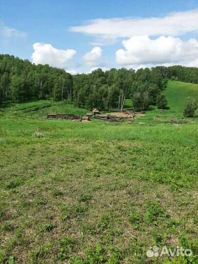 Продам Сельскохозяйственное предприятие