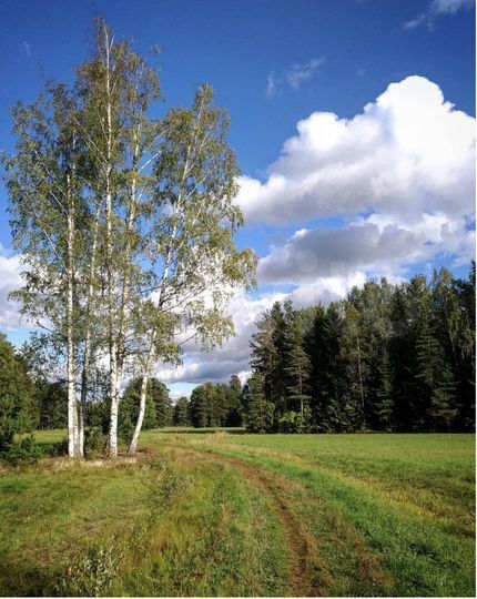 Участок 95 га (СНТ, ДНП)