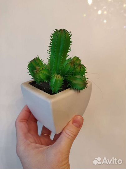 Кактусы искусственные. Декор