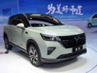 Wuling Star Asta I (2021—2024) Внедорожник