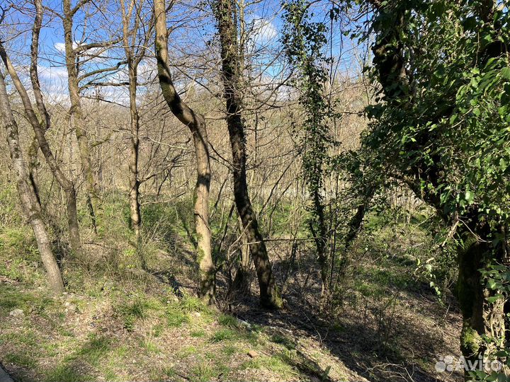 Услуги агента по недвижимости