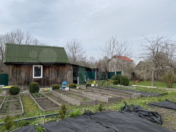 Участок 4,9 сот. (СНТ, ДНП)