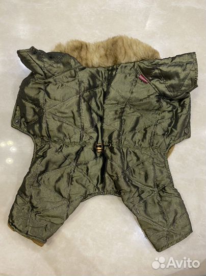 Одежда для мини собачки