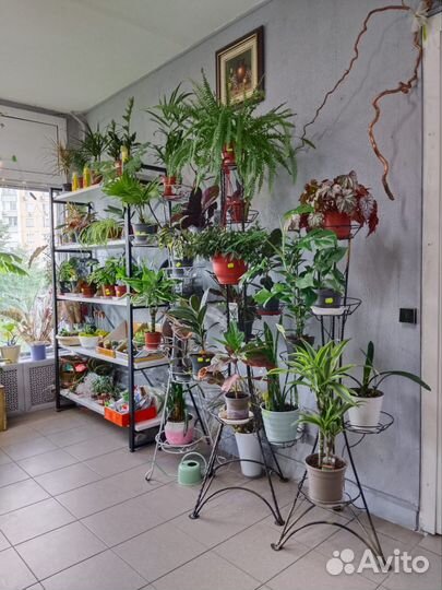 Цветочный магазин у м. Жулебино