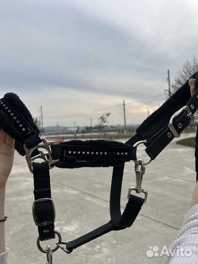 Недоуздок для лошади