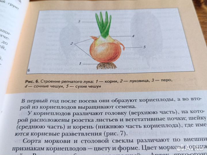 Учебник технология 5 класс