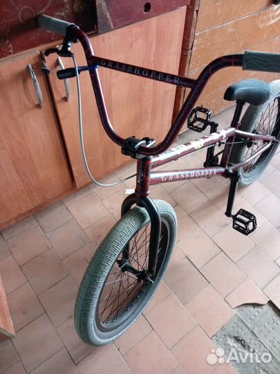 Bmx tech team grasshopper