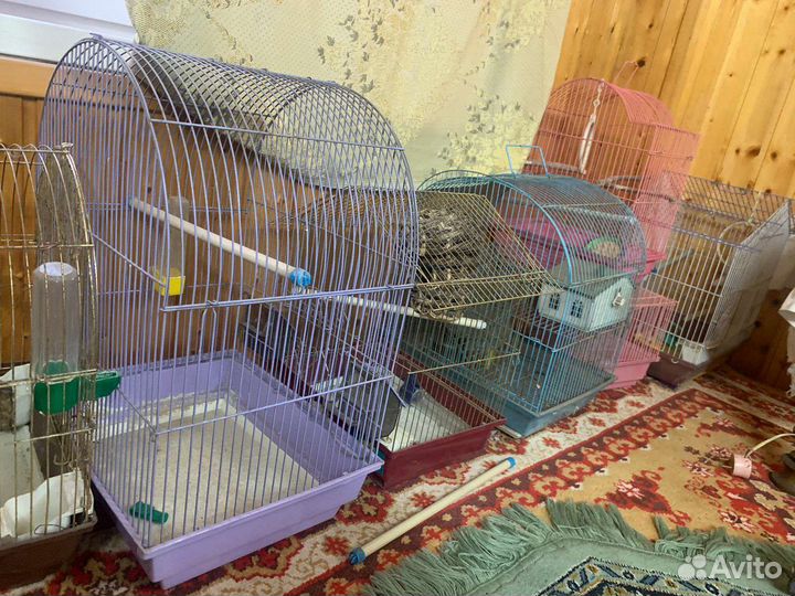 Клетки для хомяков птиц