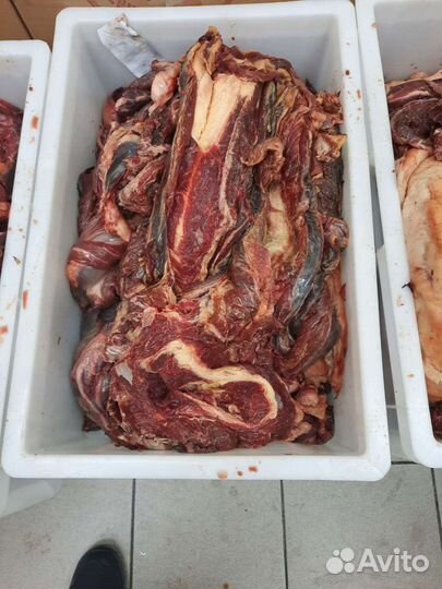 Мясо конина