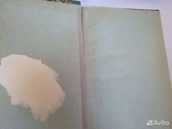 Юные натуралисты