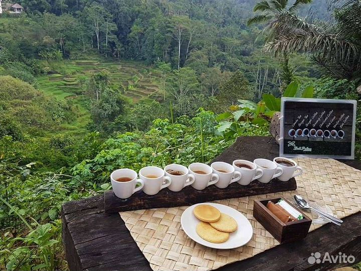 Готовый бизнес. Кофейня. Балийская Легенда
