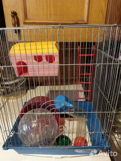 Аквариум, клетка