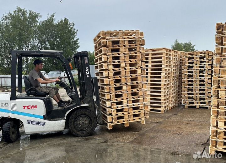 Поддоны для дачи tn466