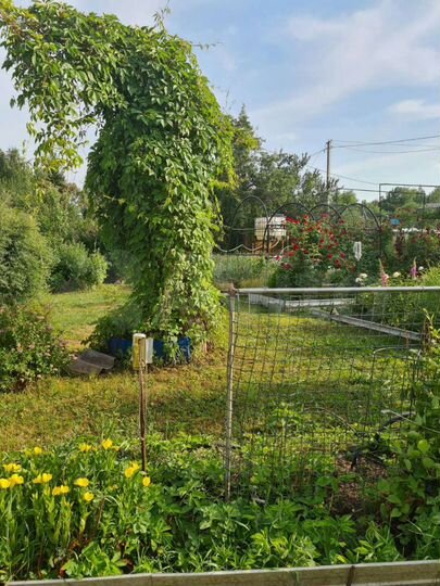 Дача 20 м² на участке 13 сот.