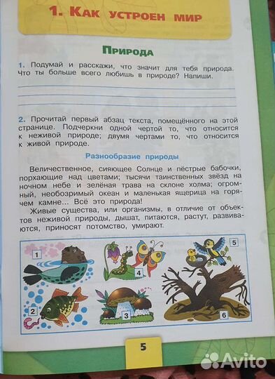 Рабочая тетрадь окружающий мир 3 класс