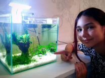 Подарочный мини-аквариум "Креветкин дом"