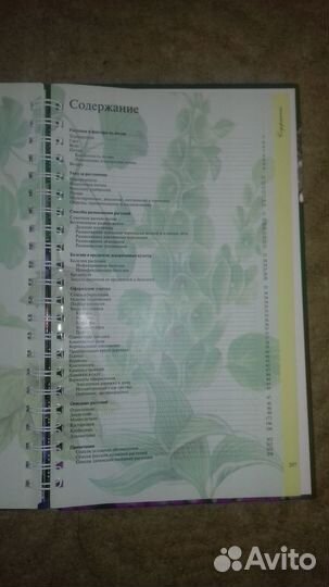 Миллион цветов на вашем участке