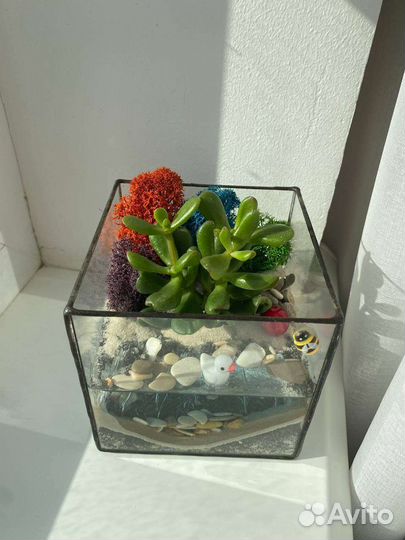 Флорариумы (под заказ)