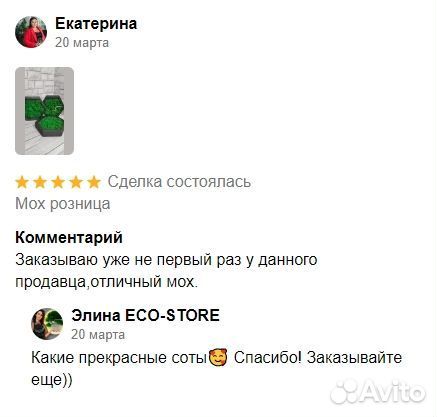 Картина из микса мха зеленого