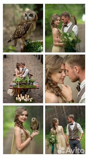 Фотограф новокузнецк