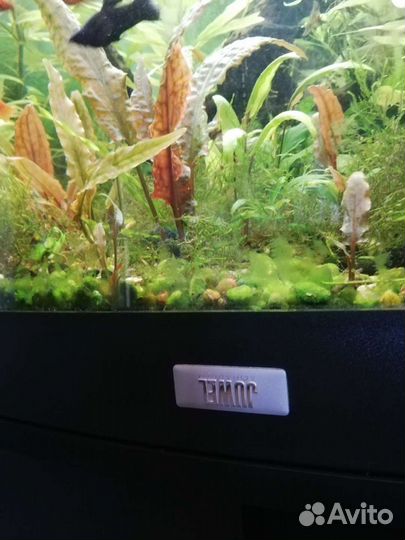 Аквариум juwe Trigon 350 черный