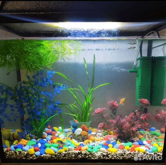 Грунт для аквариума галька цветная