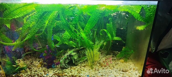 Аквариум с тумбой