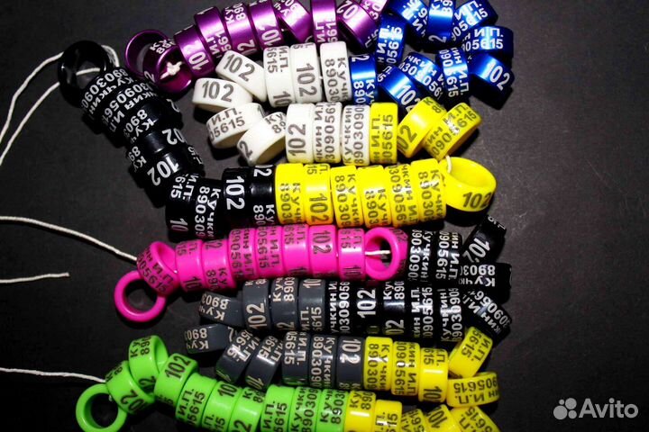 Кольцо на лапку голубя