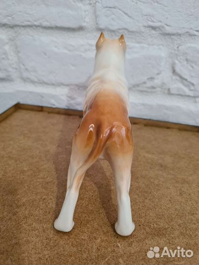 Стаффордширский терьер