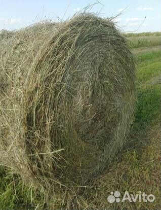 Сено в рулонах