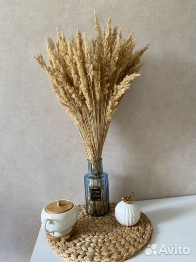 Сухоцветы букет для декора